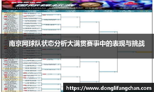 南京网球队状态分析大满贯赛事中的表现与挑战