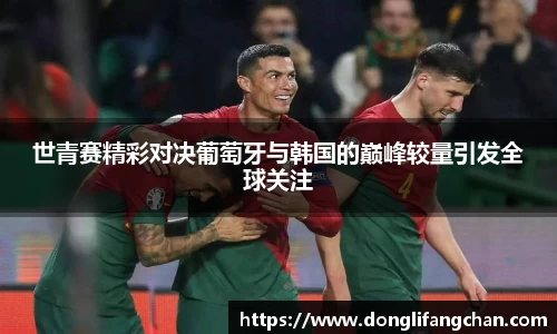 多多28官网